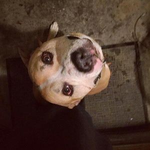 Meet your Posher, Ethan